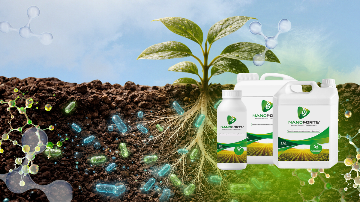 Botellas Nanoforte en huerto con raíces