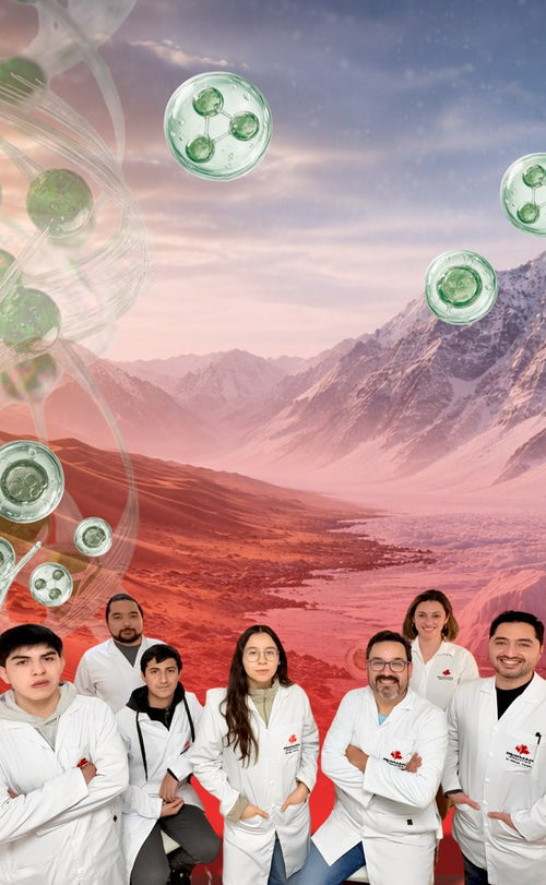 Equipo Pewman Innovation en el Desierto de Atacama, origen de la investigación