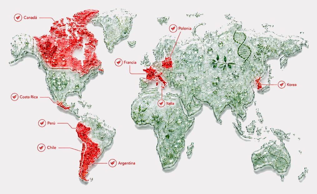 Mapa de presencia de Pewman Innovation