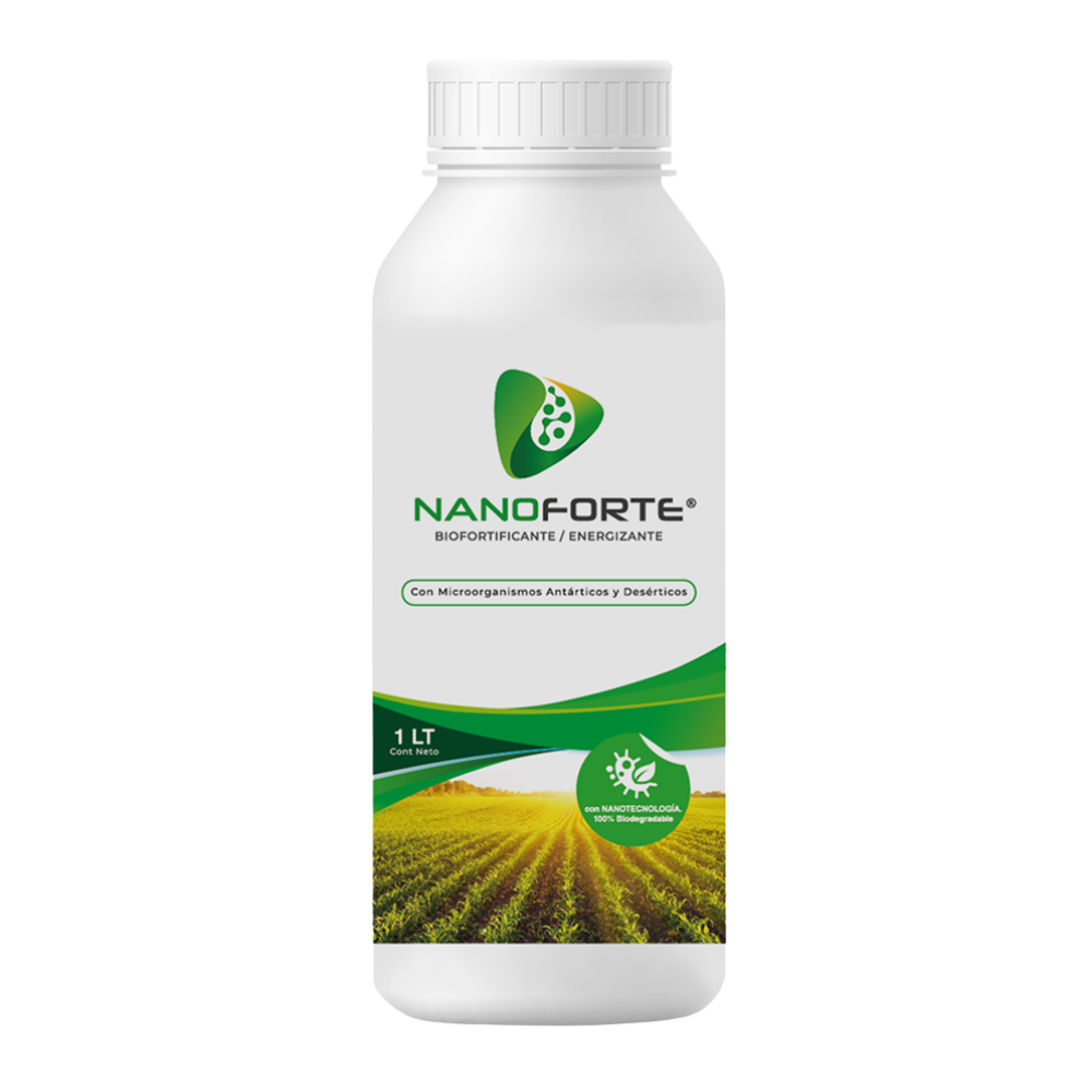 Nanoforte