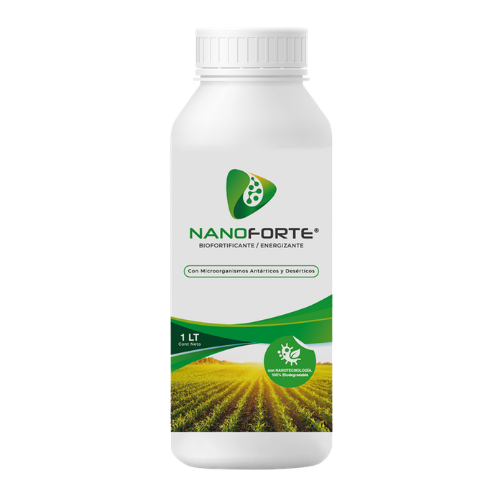 Nanoforte