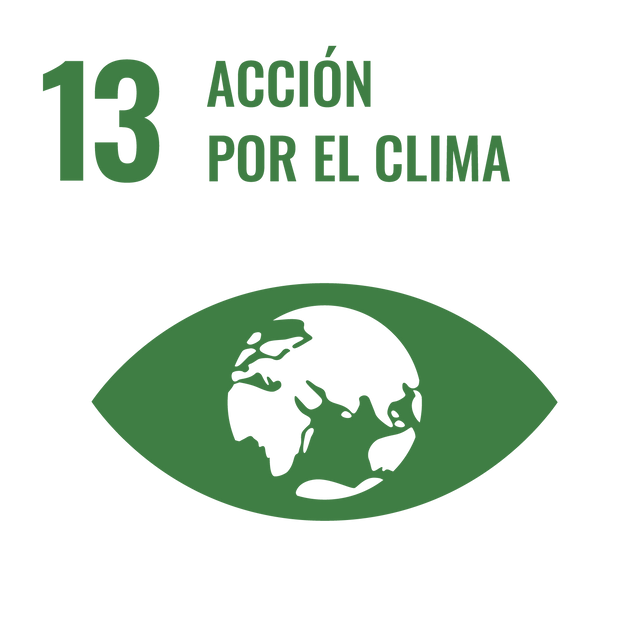 ODS 13 · Acción
