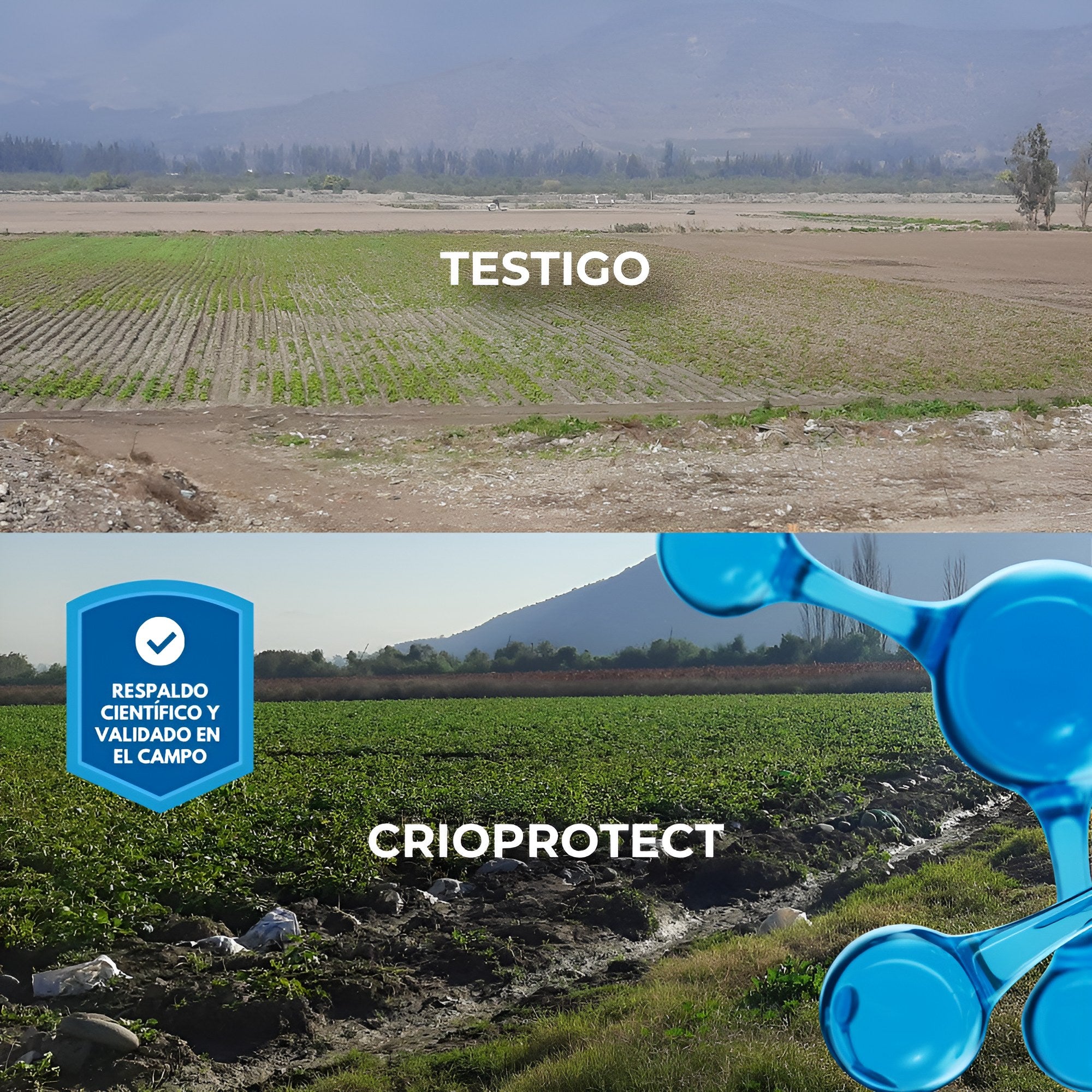 Resultados validados en campo de Crioprotect