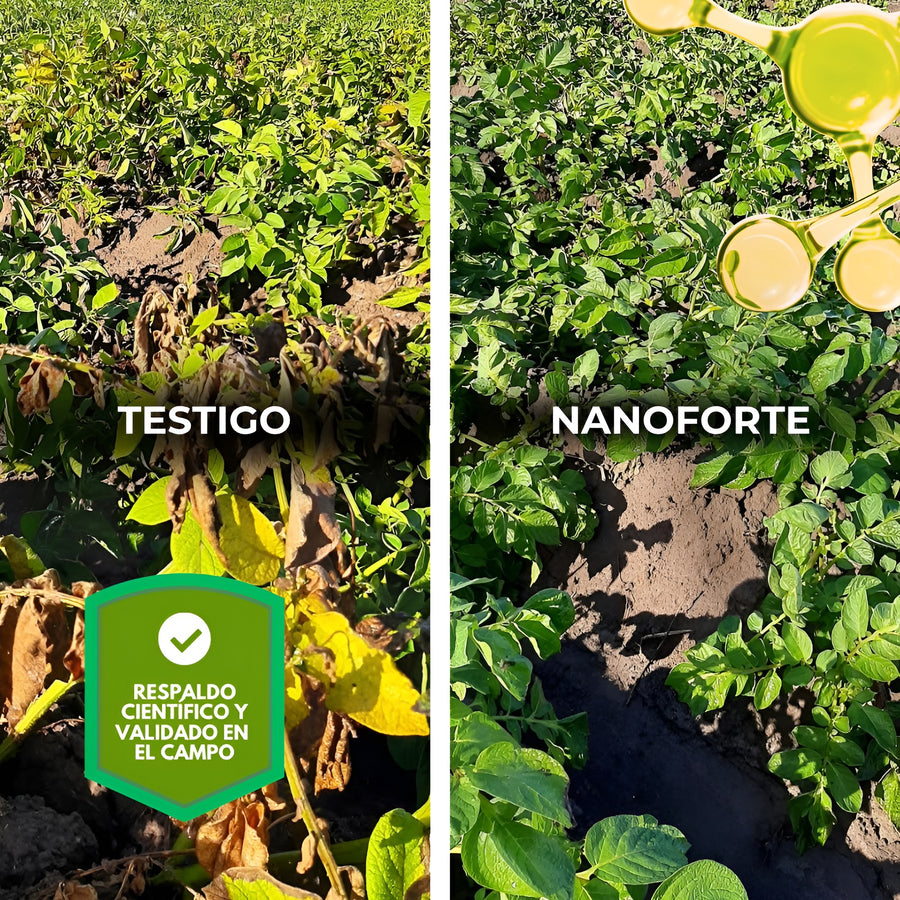 Resultados validados en campo